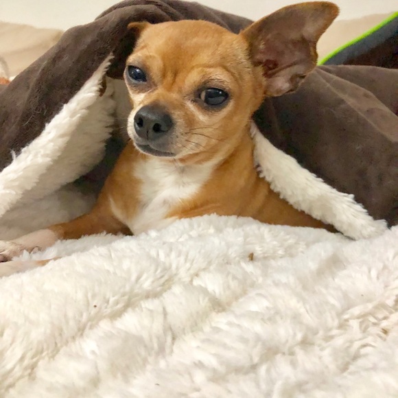 Meet your Posher, Viktoria - Picture 2 of 2